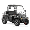 400CC EFI UTV-Kohlefaserfarbe